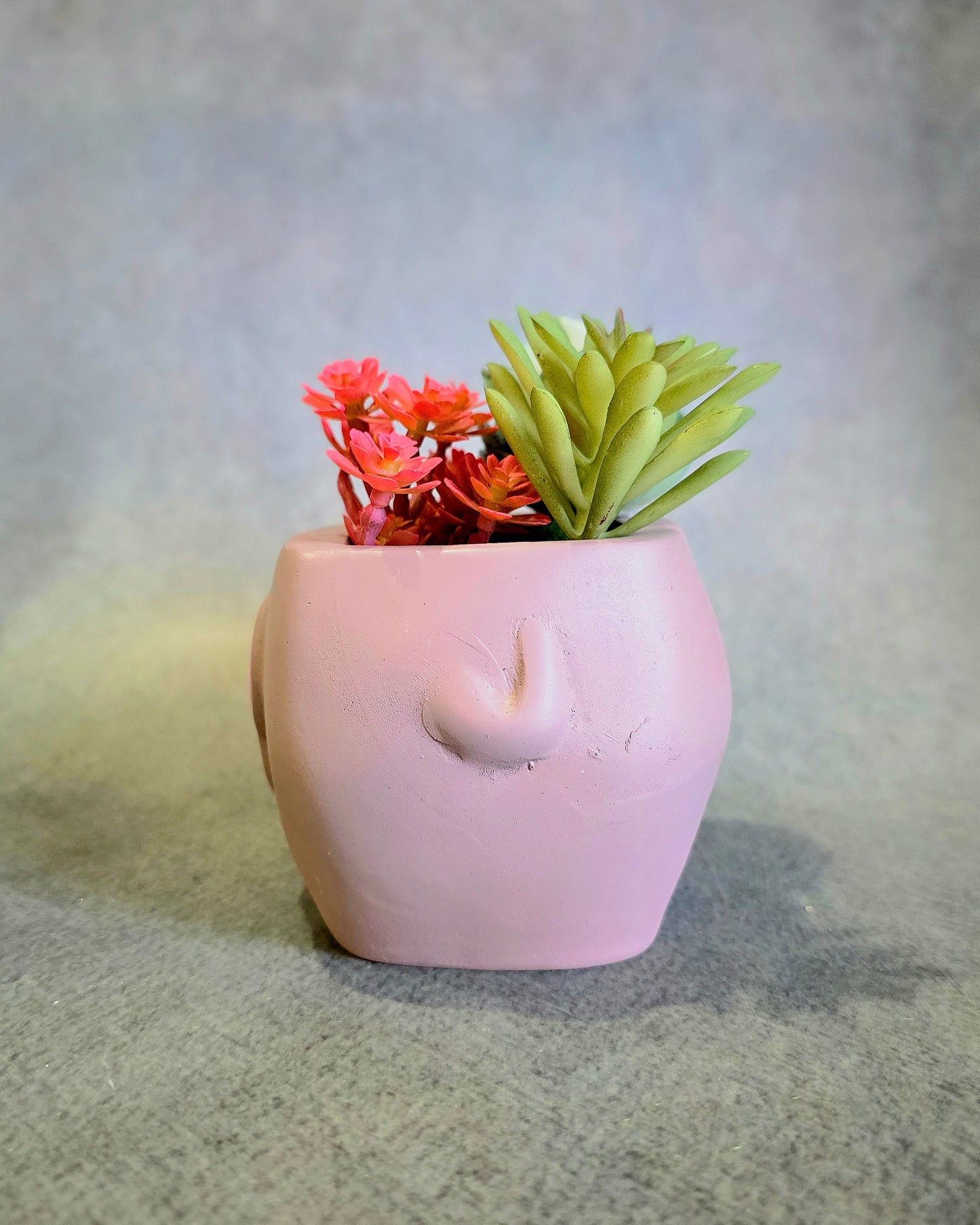 Chota Haathi Planter