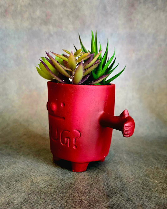 Hug Me Planter