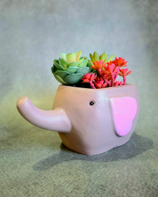 Chota Haathi Planter
