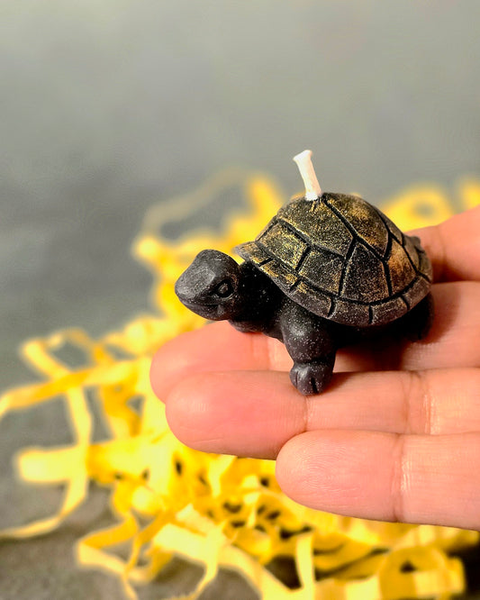 Good Luck Turtles - Set of two