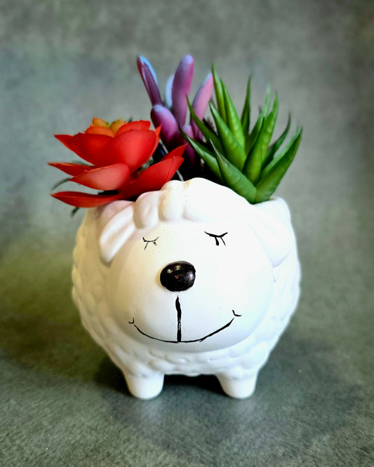 Sleepy Sheepy Planter