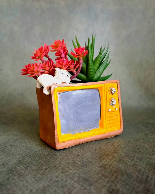 Old-school TV Planter