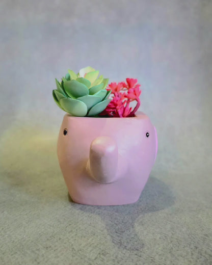 Chota Haathi Planter