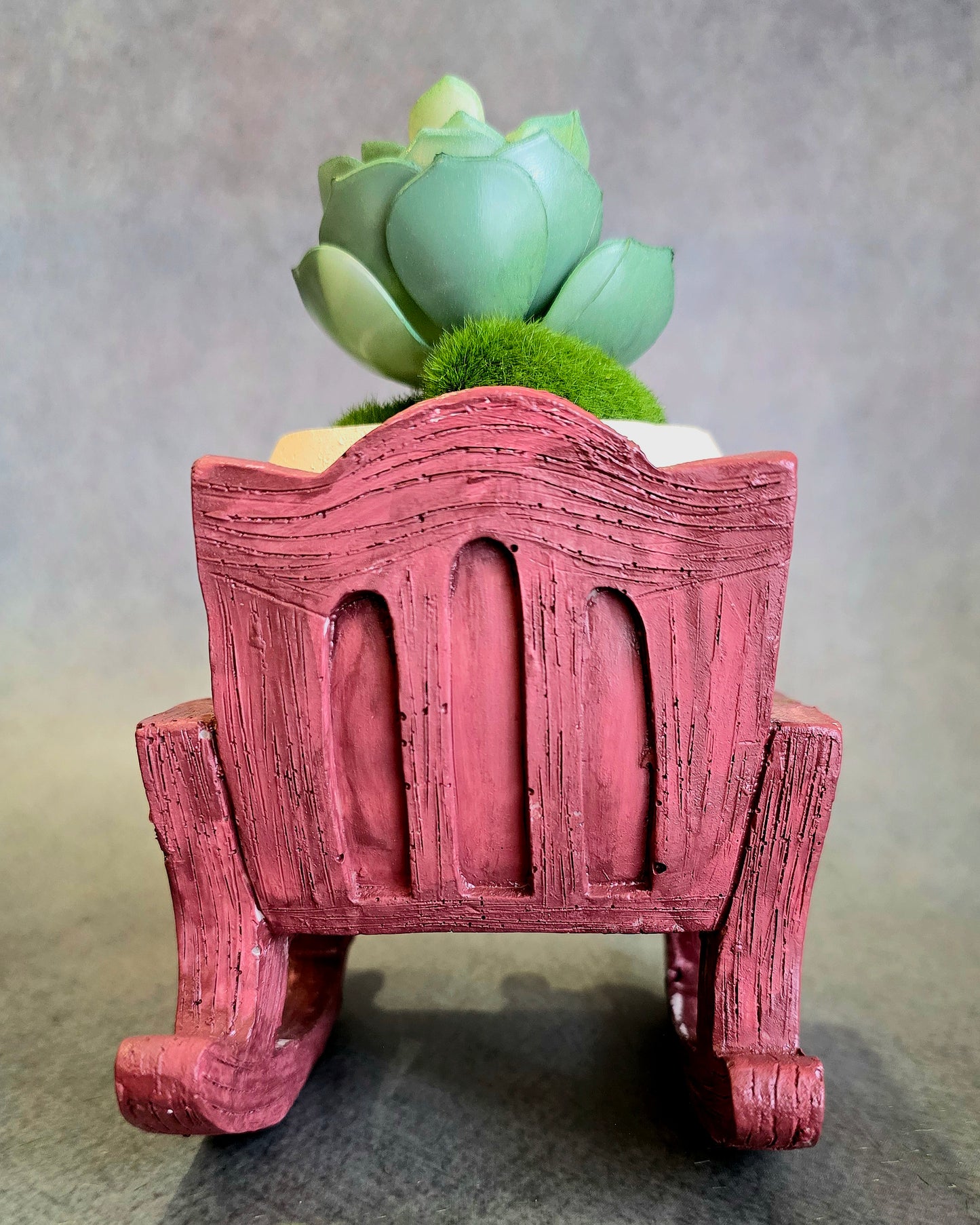 Coffee Paglu Planter