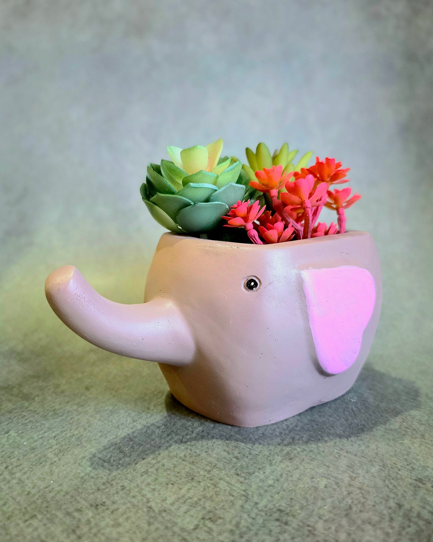 Chota Haathi Planter