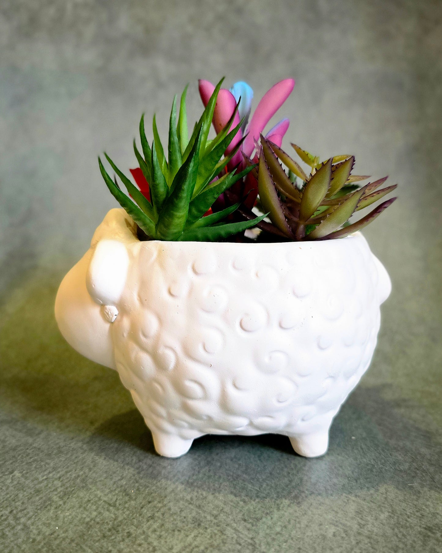 Sleepy Sheepy Planter