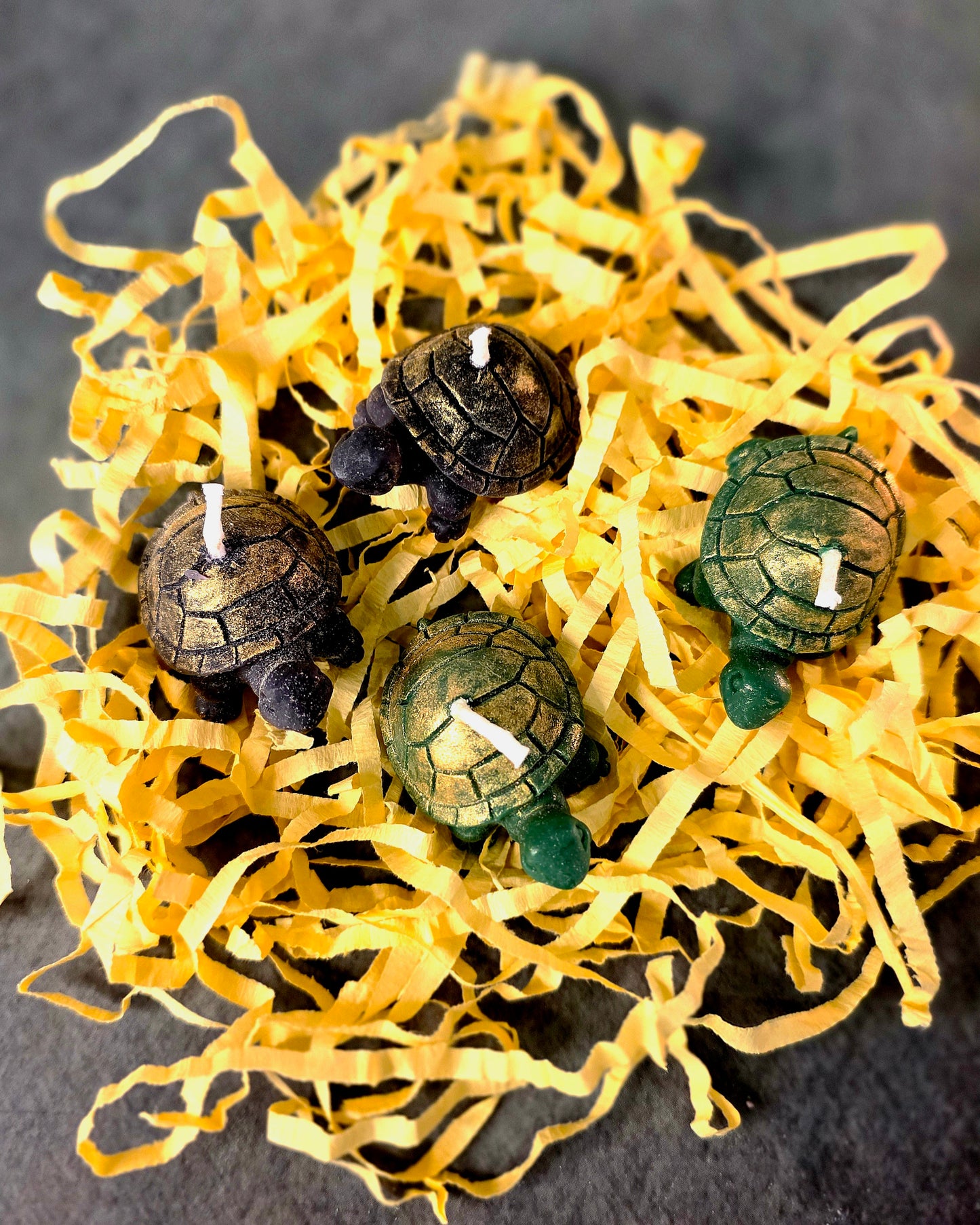 Good Luck Turtles - Set of two