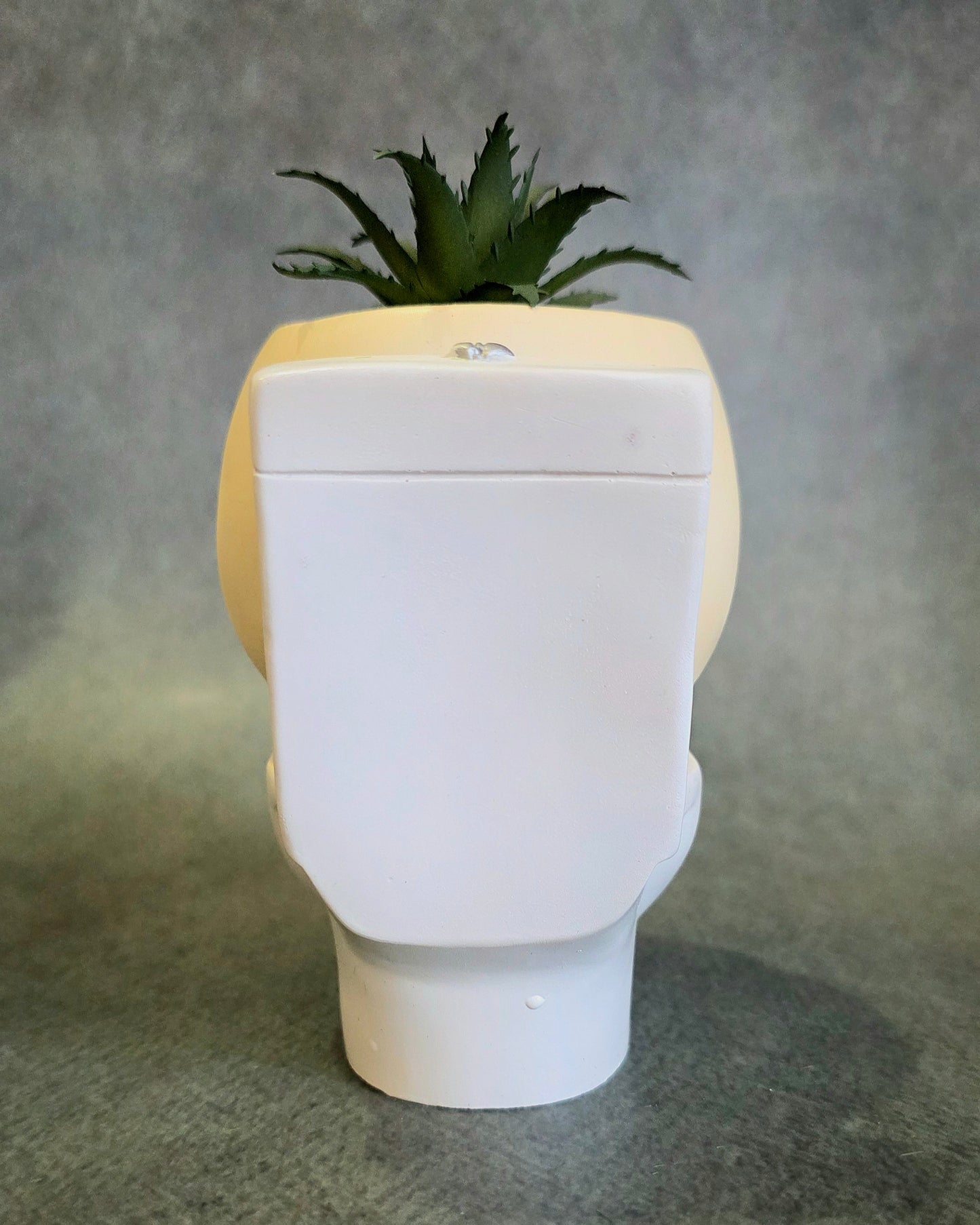 Sit Happens Planter