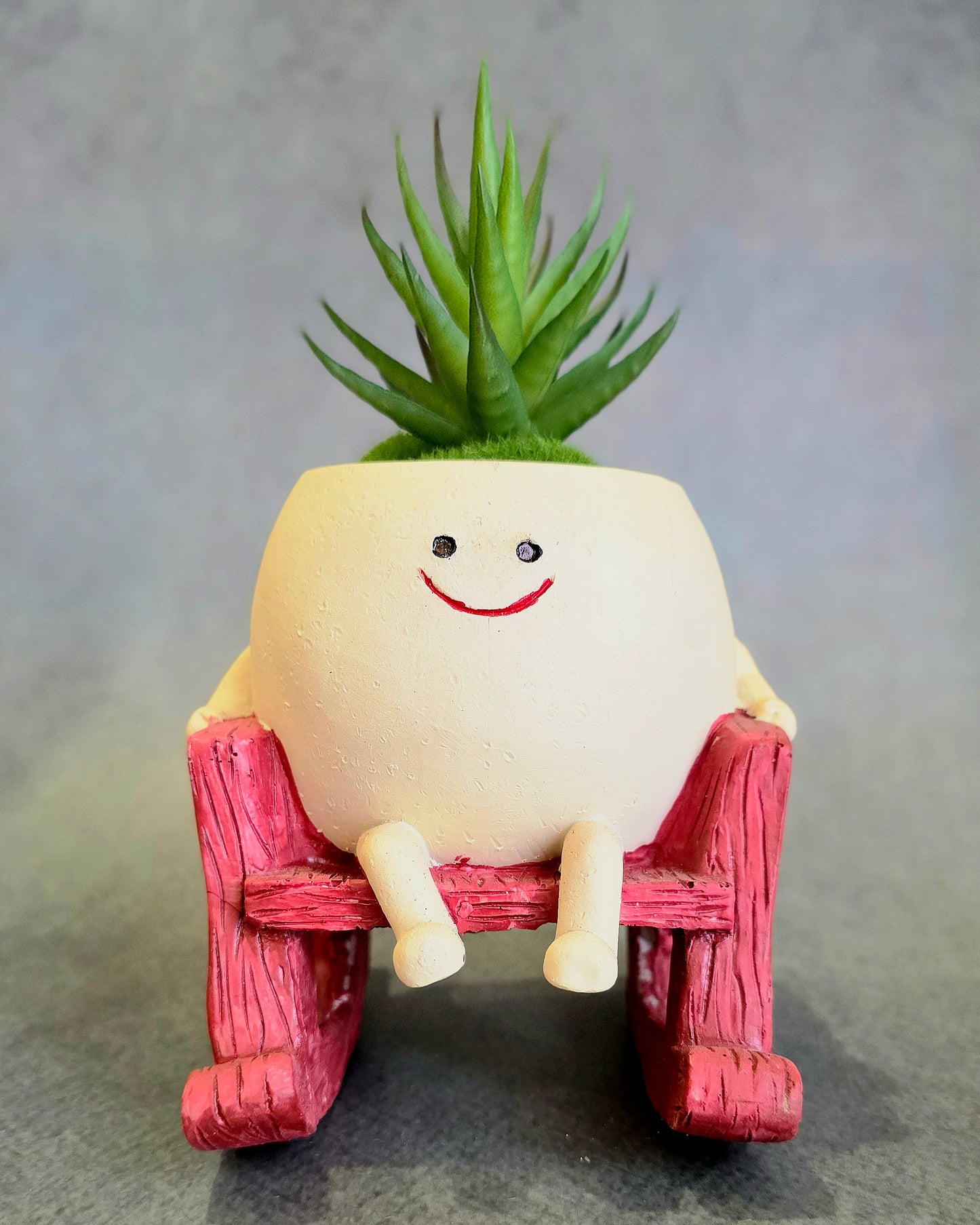 Rock n Root Buddy Planter