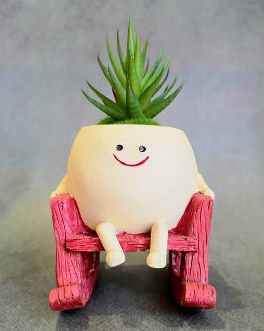 Rock n Root Buddy Planter