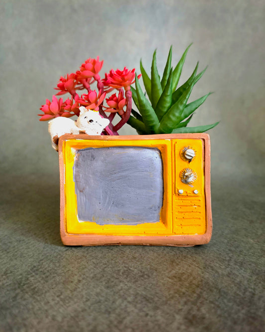 Old-school TV Planter
