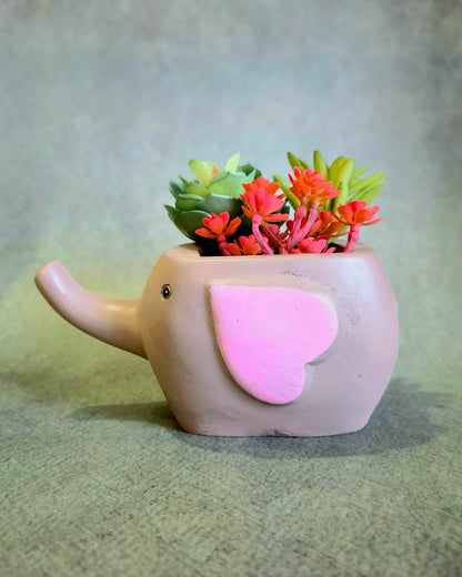 Chota Haathi Planter