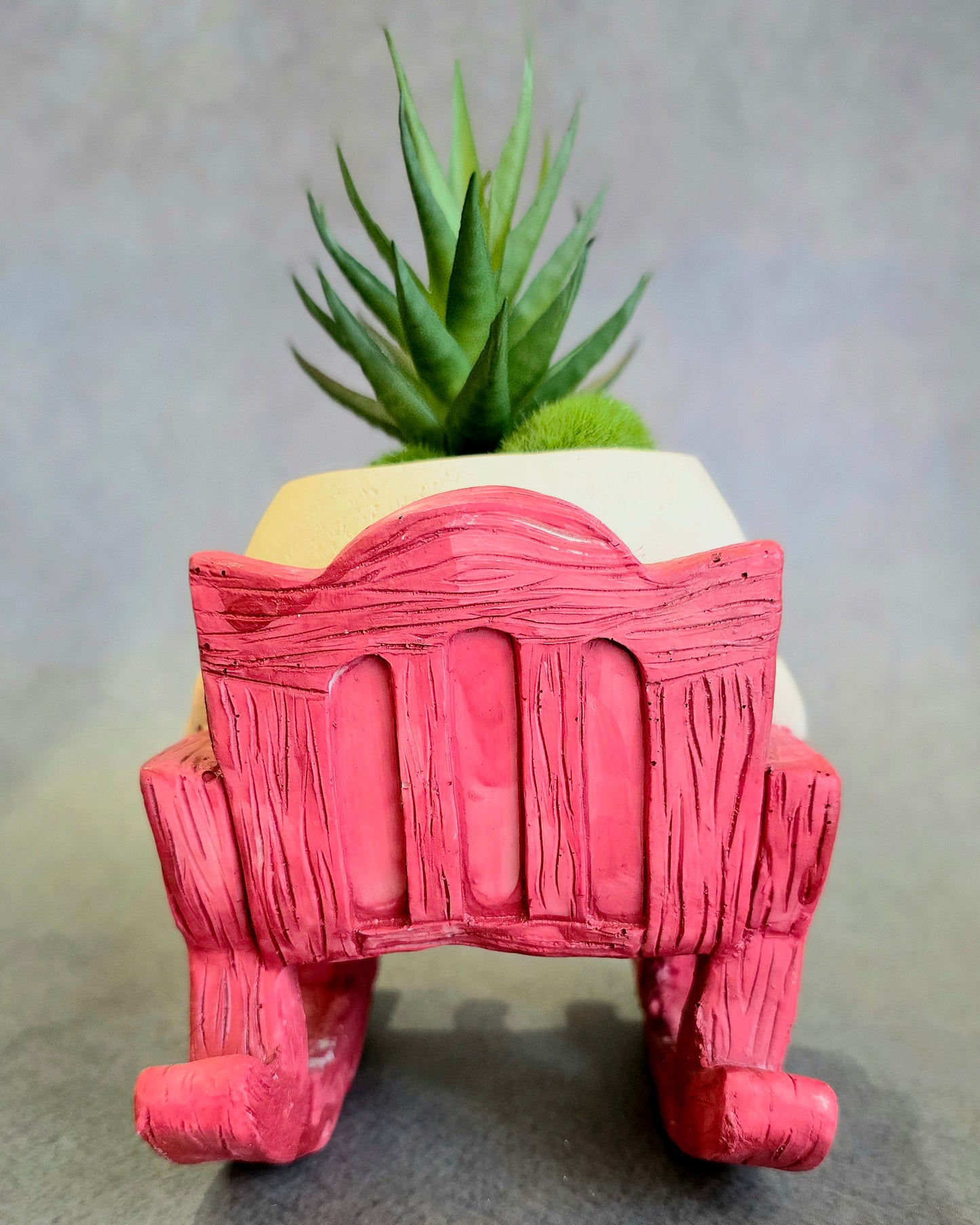 Rock n Root Buddy Planter